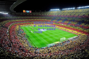 和平杯U16足球邀请赛，中国小将激战韩国，一胜一平一负展现潜力与差距