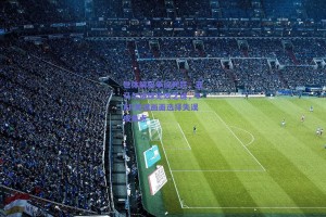 世体解析争议判罚，亚马尔进球无效之谜，VAR关键画面选择失误成焦点