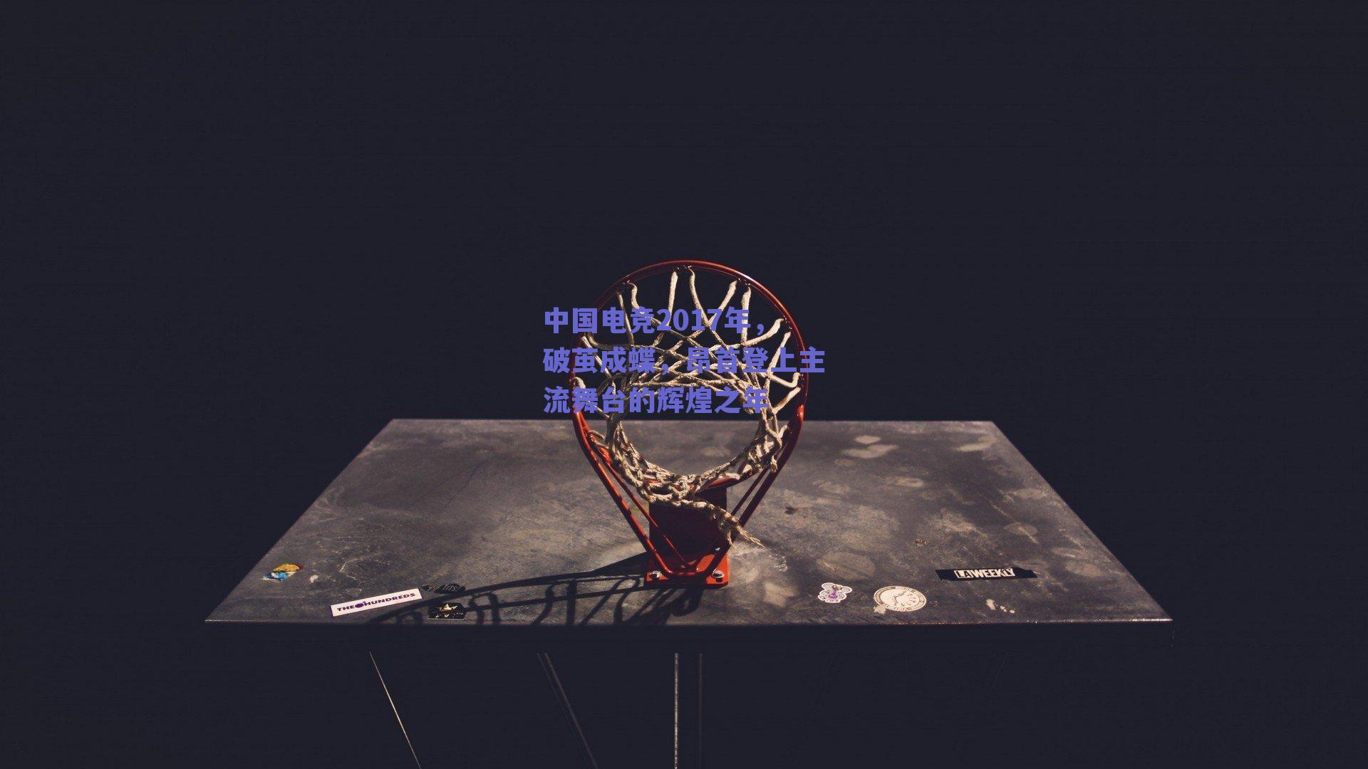 中国电竞2017年，破茧成蝶，昂首登上主流舞台的辉煌之年